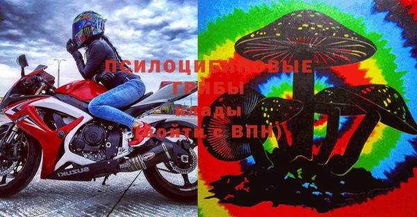 первитин Белокуриха