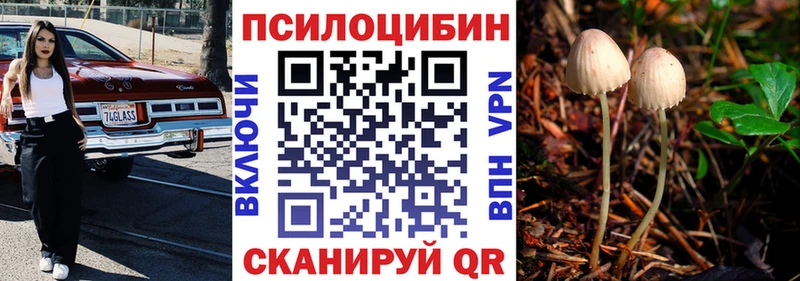 Псилоцибиновые грибы мицелий  где продают   Горнозаводск 